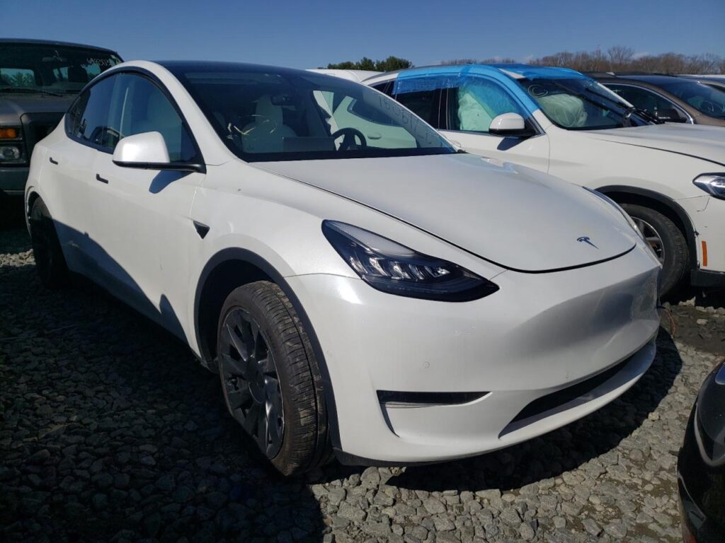 tesla y